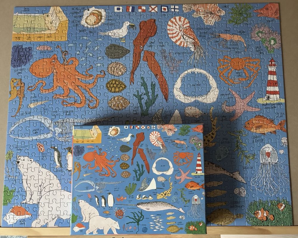 Ocean Anatomy- GONE - Storey Puzzle puzzle collectible [Barcode 9781635864021] - Main Image 4