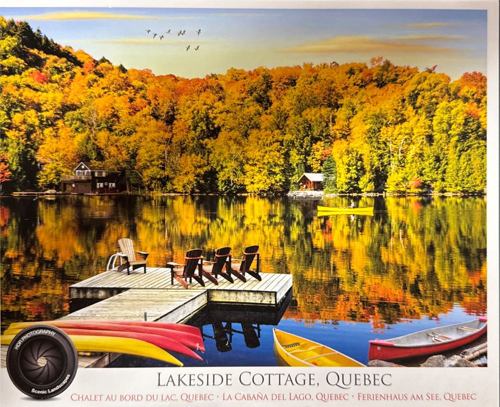 Whiskers On The Street