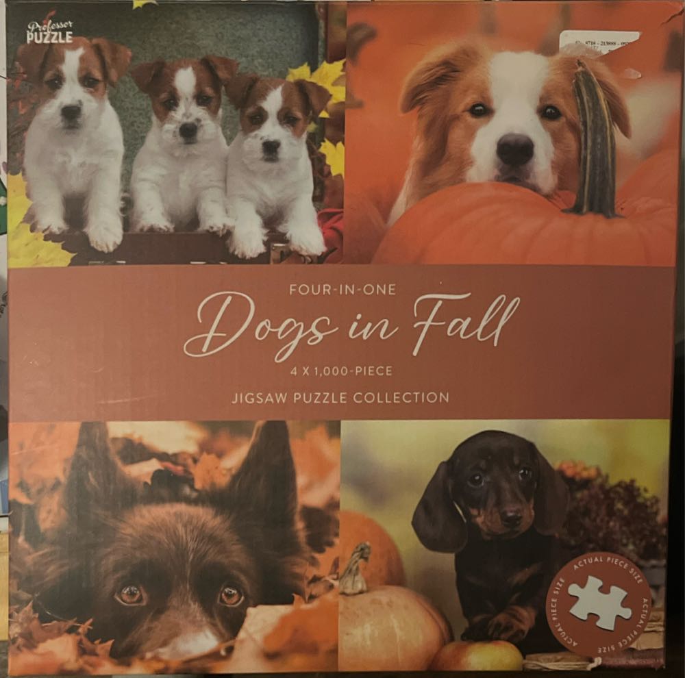 Possibilities Abound