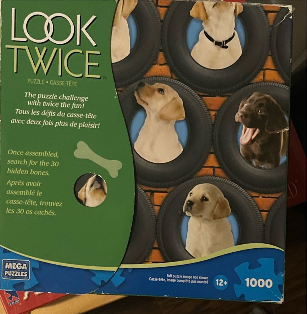 The Beautiful Pirate