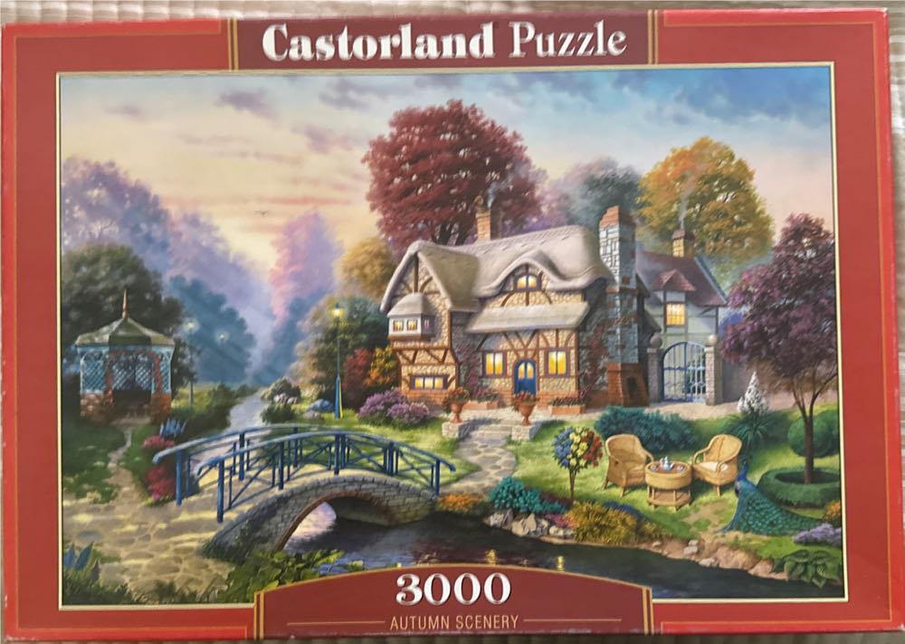 Cactus Cowgirl 500 Piece