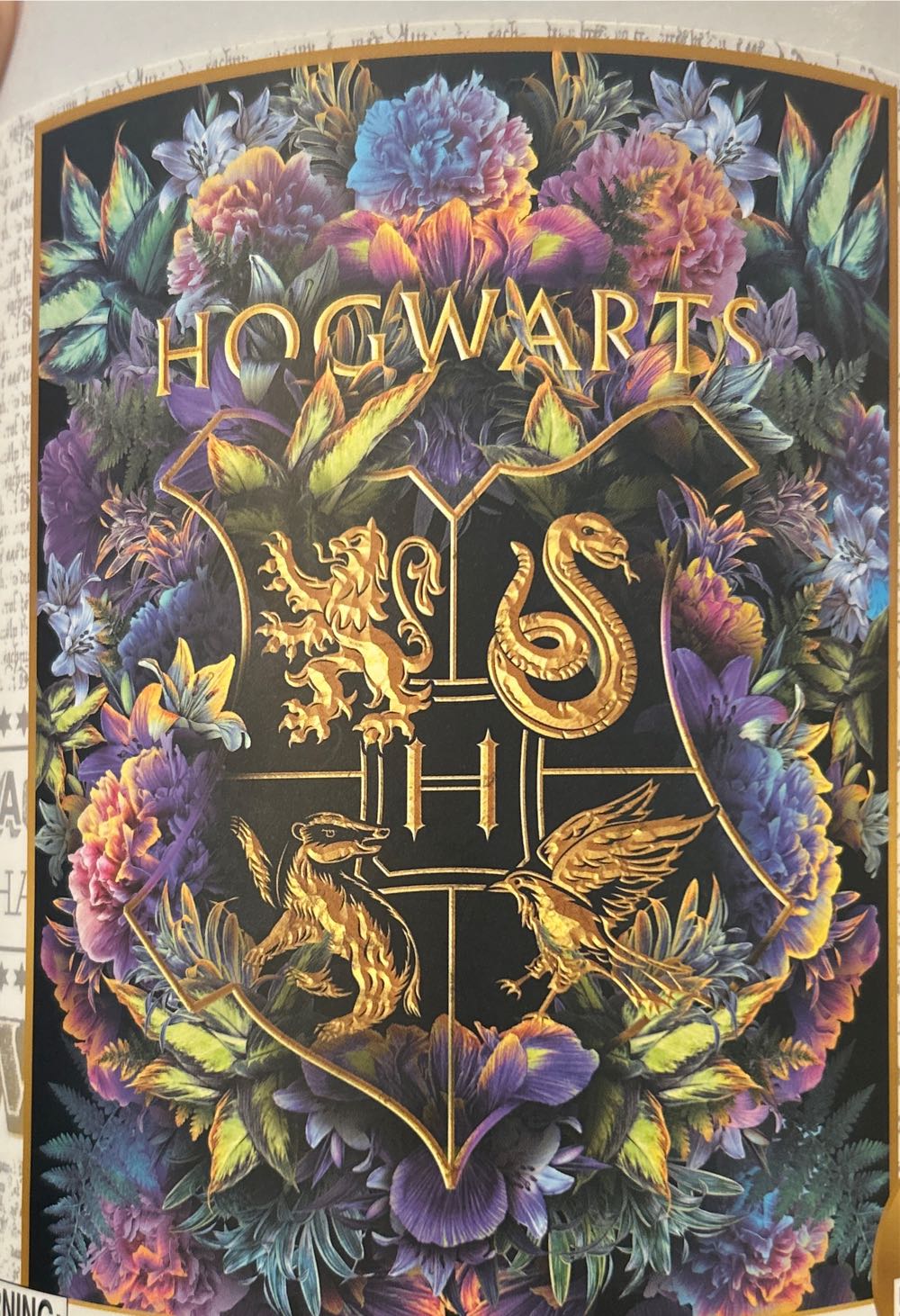 Frauenpavillion Beelitzer Heilstatten