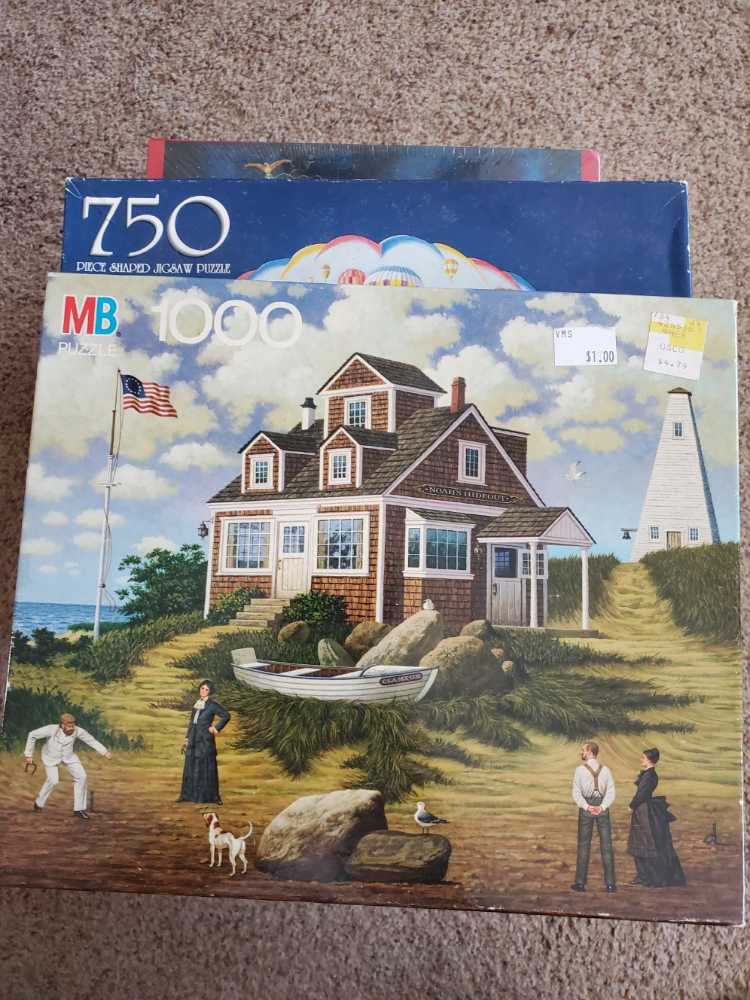 The Time Of Roses Hertfordshire Art Charles Haigh Falcon