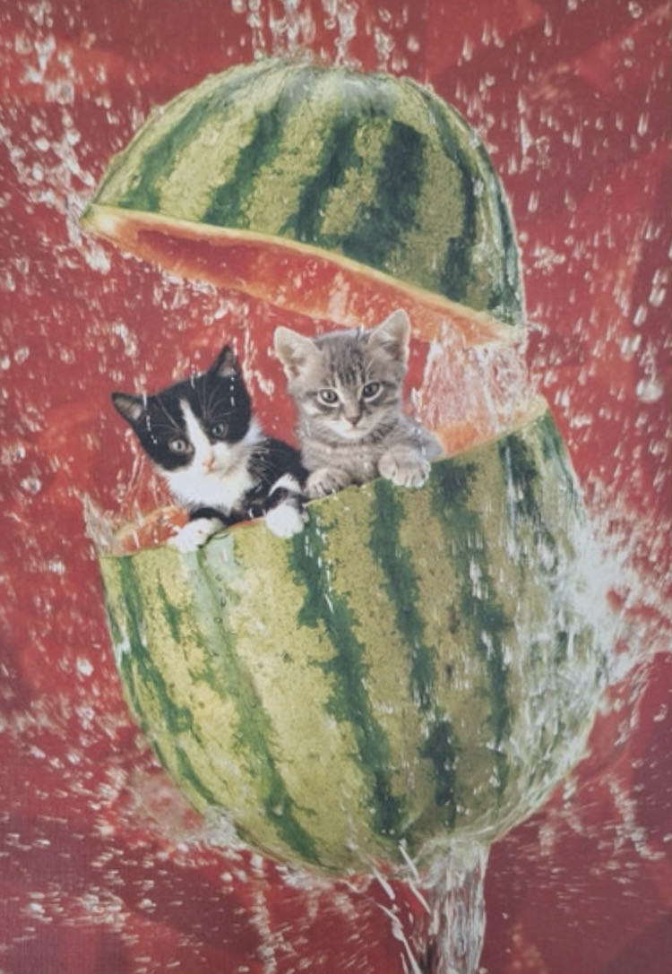 Fruit Party SCANNEN EN FOTO EN NNK  puzzle collectible - Main Image 2