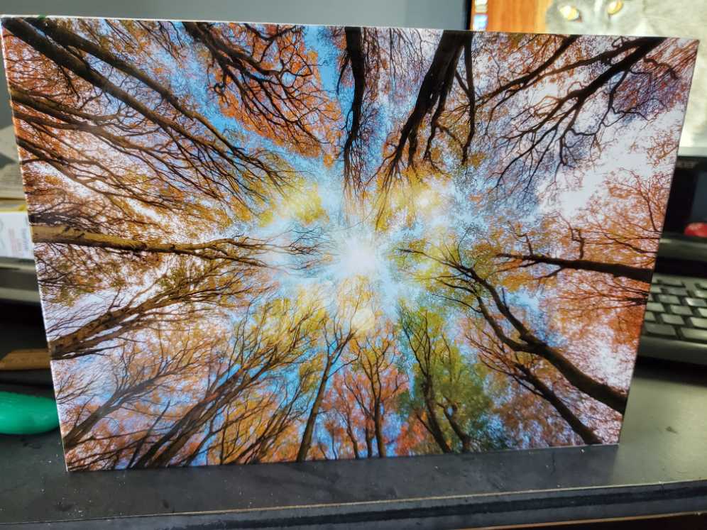 Jigsaw Boxset In Family