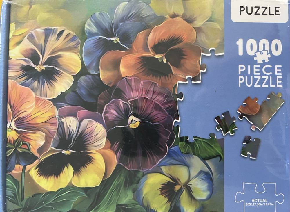 Disney: Cinderella Nght