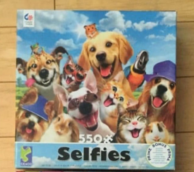 Selfies - Summer Fun - Ceaco 🇺🇸 puzzle collectible - Main Image 2