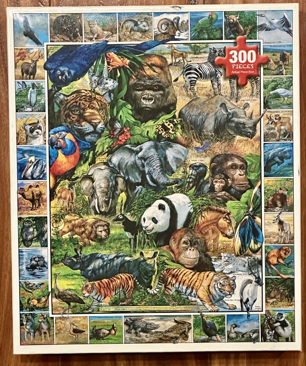 Ocean City First Edition