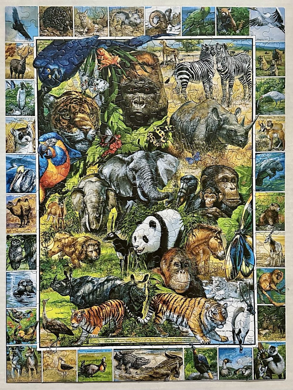 Endangered Species🧩 - White Mountain puzzle collectible - Main Image 2
