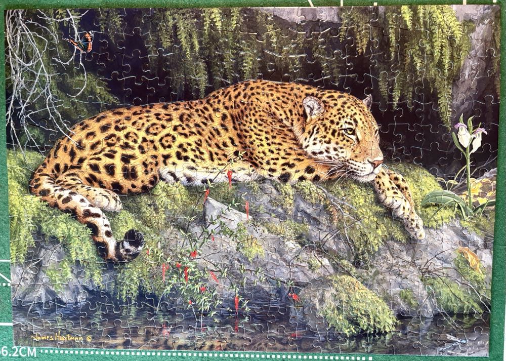 Jaguar And Butterfly - Buffalo puzzle collectible [Barcode 079346225057] - Main Image 2