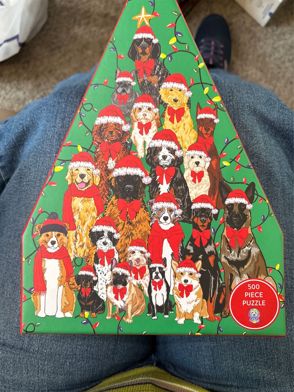 Celebrating In Arendelle  (NIB) NFT