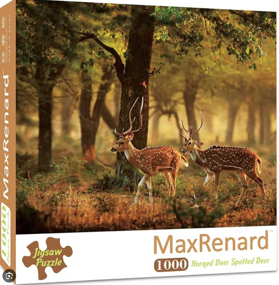 Blossoming Courtship