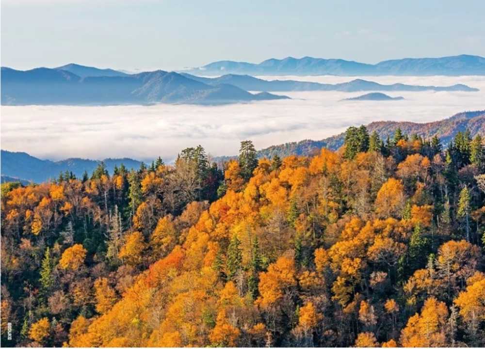 Walk In Paris At Sunset
