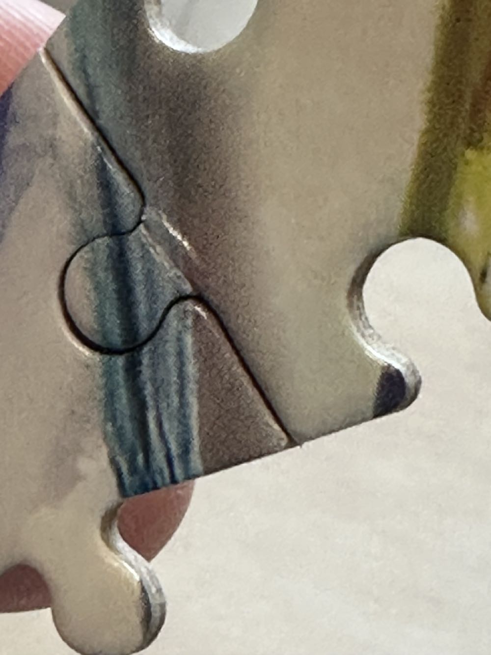 Vintage Birdwatcher🧩 - Buffalo puzzle collectible - Main Image 4