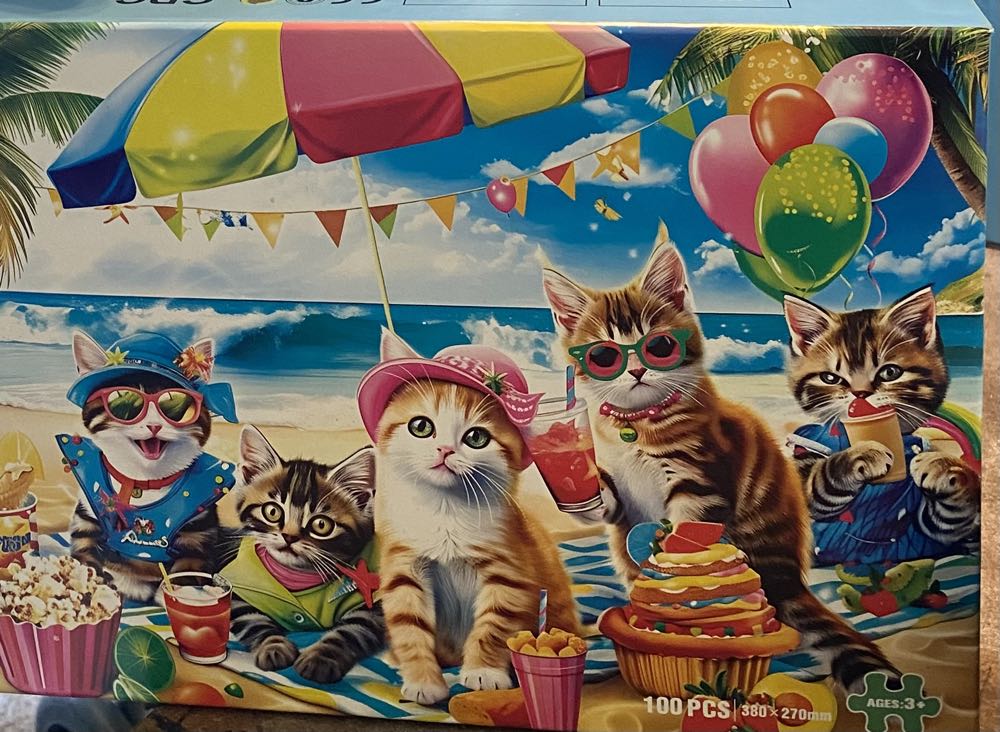 Time Warp Puzzle Mystery Jigsaw Puzzle Pieces For Adults Day Night Series A Challenging Difficult Picture Changing Puzzle To Solve 26.625 X 19.25 In Rock The Cat’s Paw