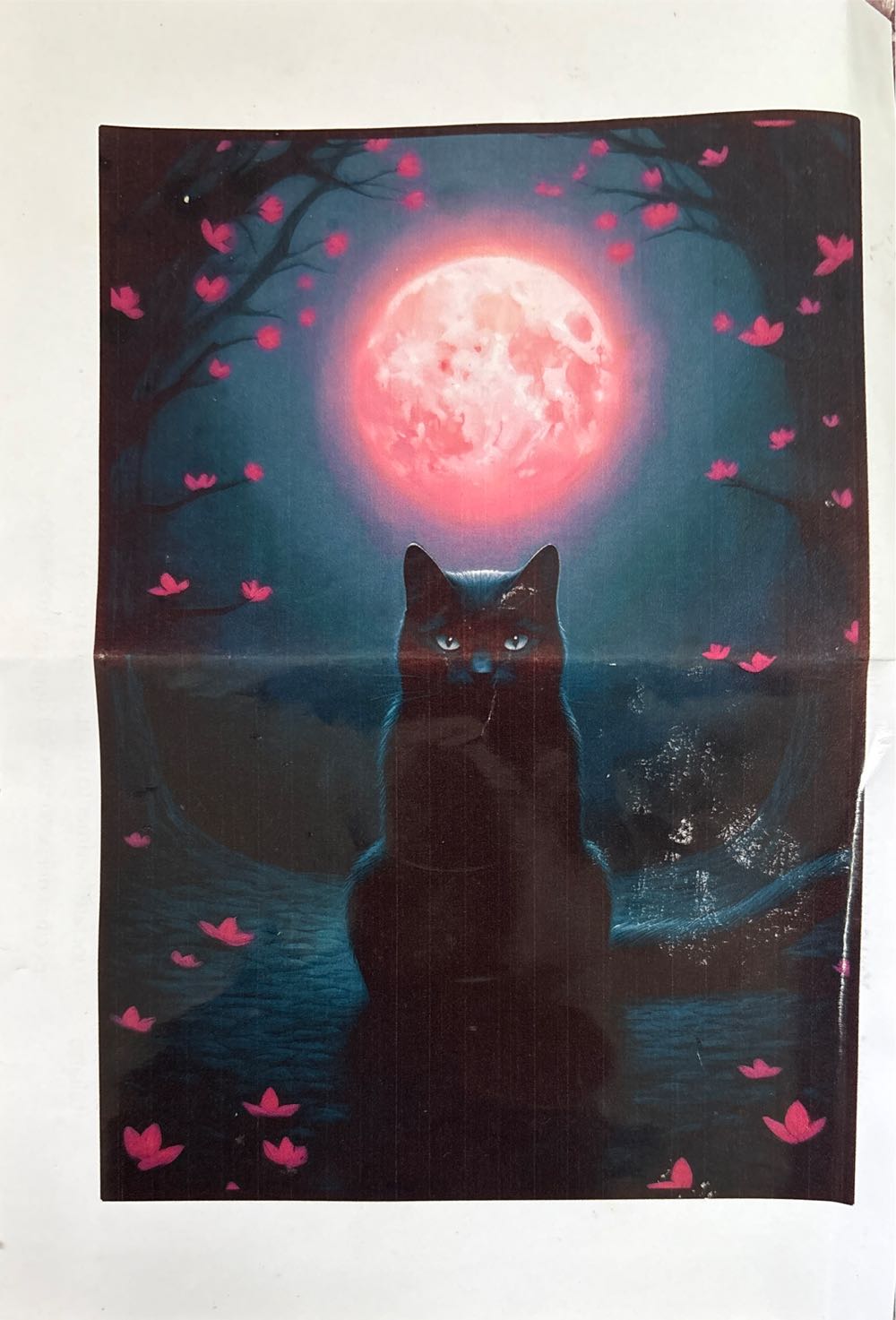 Heart Of St. Paul Something’s Amiss! 500 Piece Jigsaw