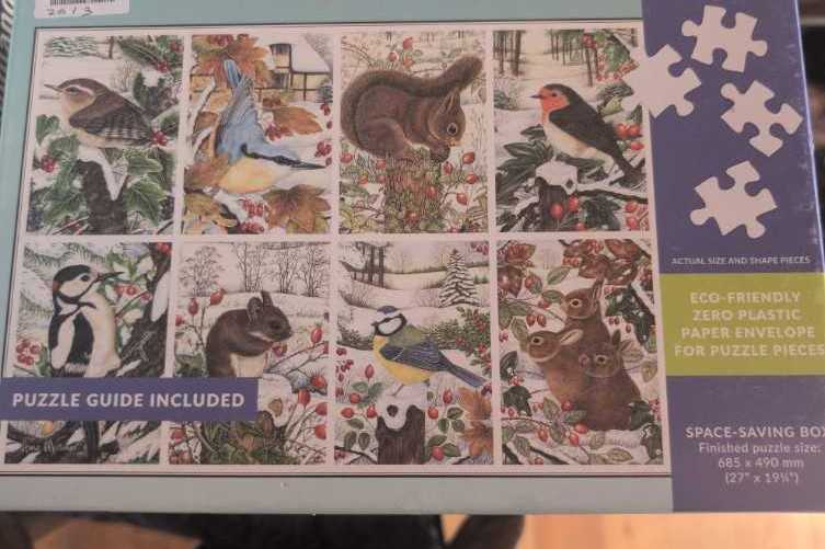 The Lion Of The tribe Of Judah