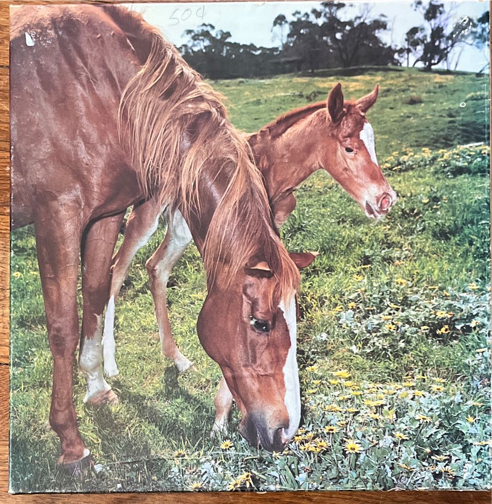 1000 Piece Evie Cook Art Puzzle ”guardian Of The Greenhouse” 30”x24”
