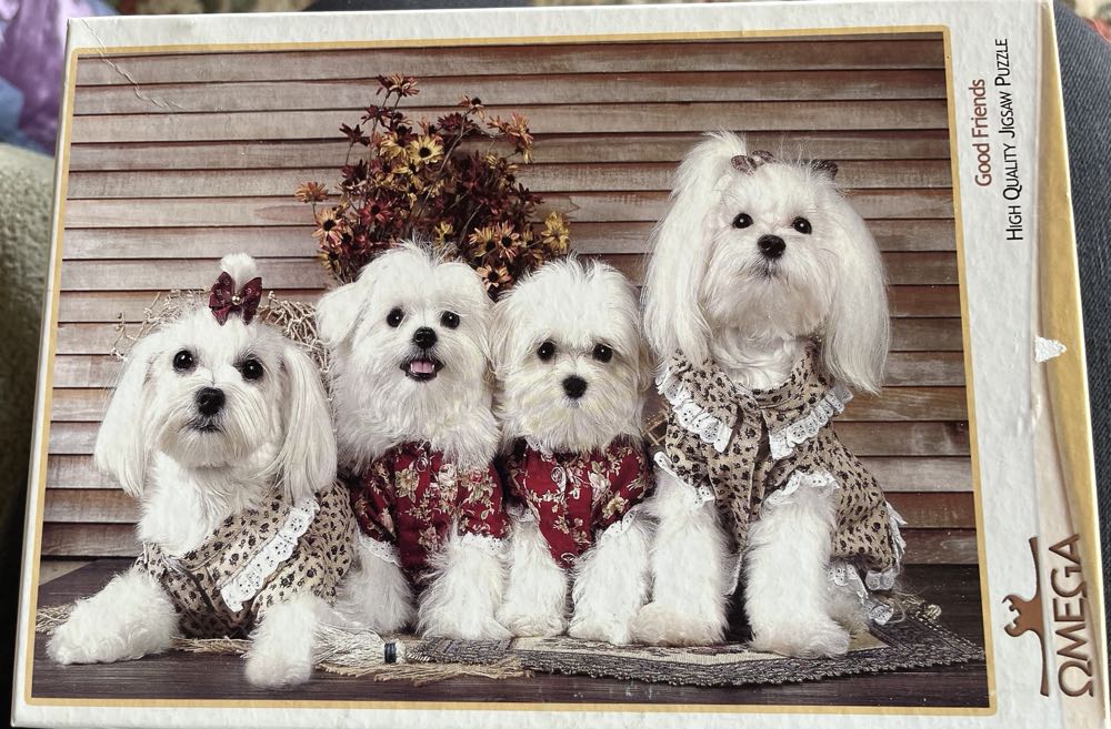 Along The French Coast