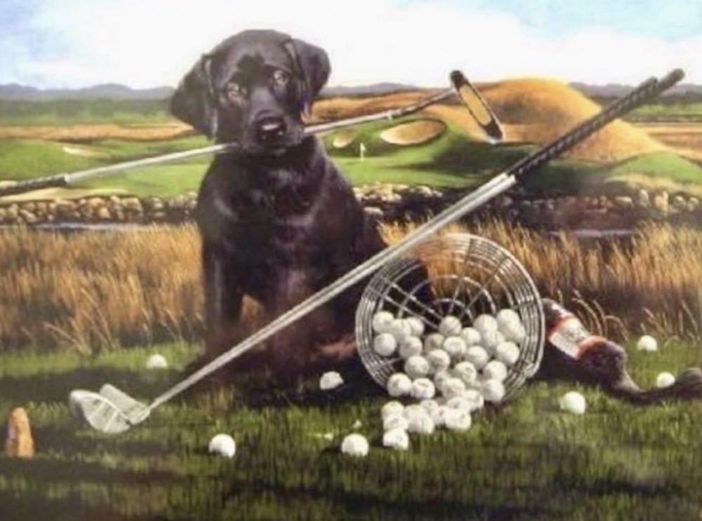 Golf Anyone? • - Ravensburger puzzle collectible [Barcode 4005556135158] - Main Image 2