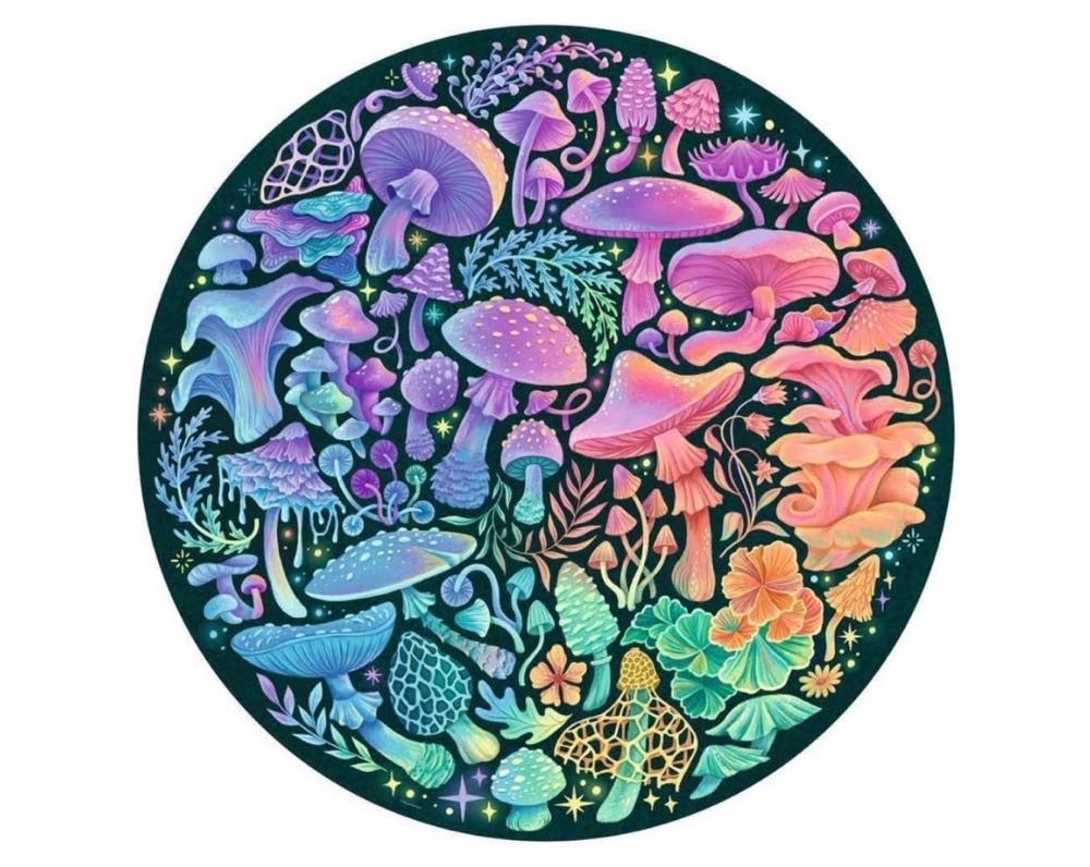 Circle of Colors 3 : Mushrooms - Ravensburger puzzle collectible [Barcode 4005555008224] - Main Image 2