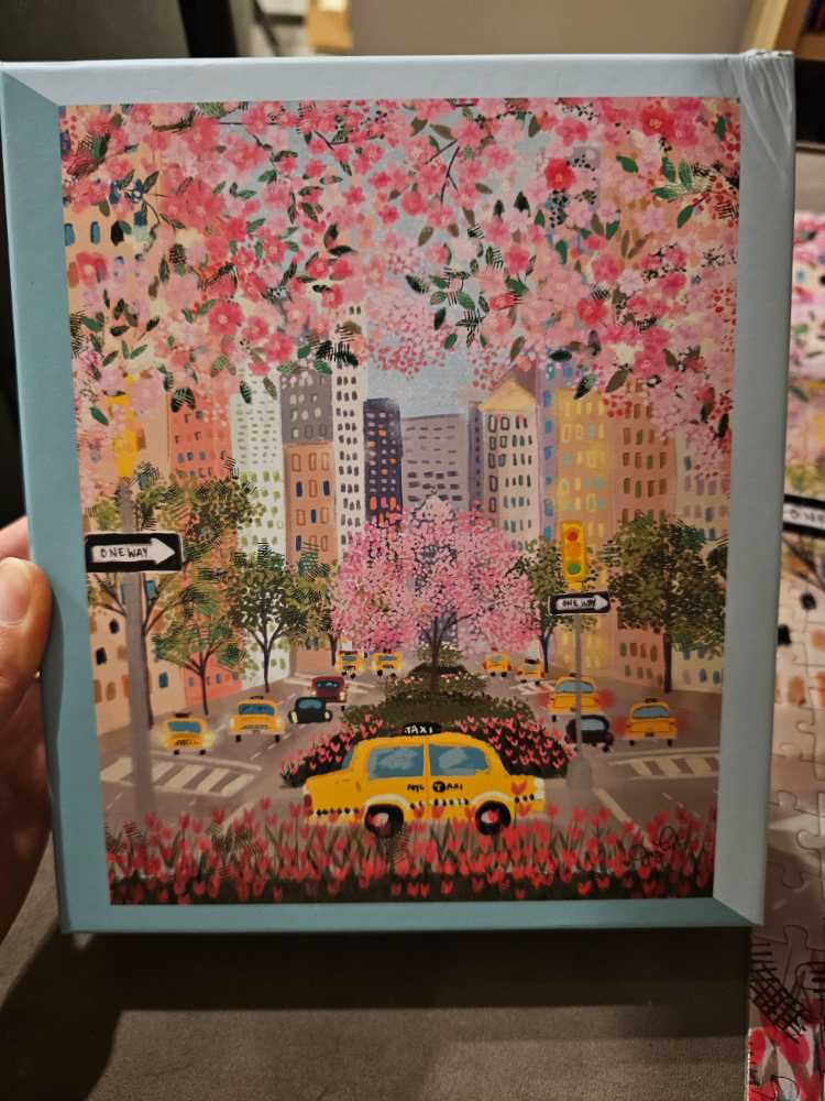 Dragon Mermaid And Turtles🟦