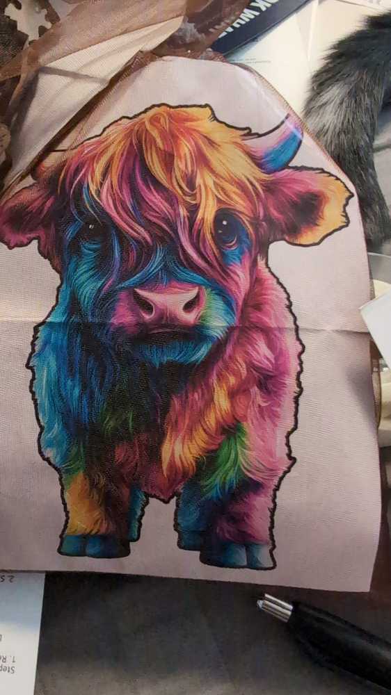 #Selfies: Jungle Buddies