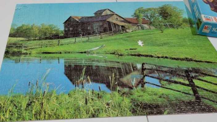 Garden Birds In Spring