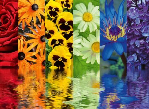 Image 130789