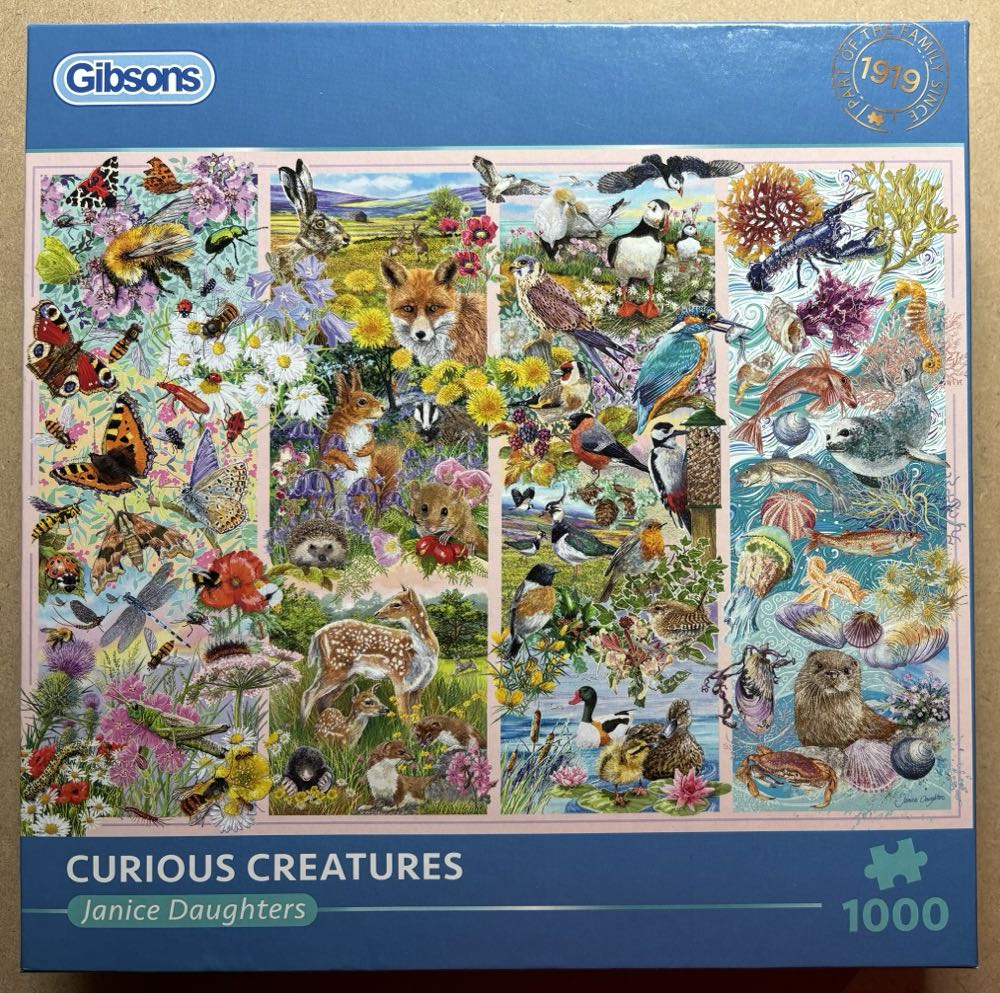 Crazy Cats-Lazy Summer Afternoon