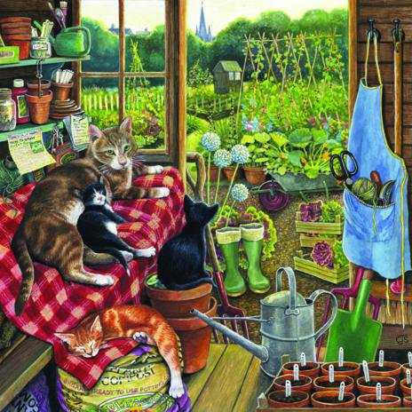 Image 130895