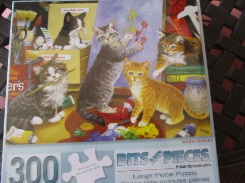 Boys And Their Trains 300 Jigsaw Sunsout