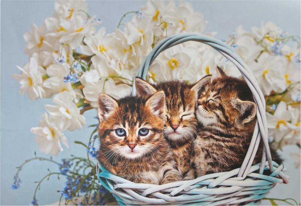 Katten In Een Mandje 🟦 - Trekpleister puzzle collectible [Barcode 8718494037076] - Main Image 2