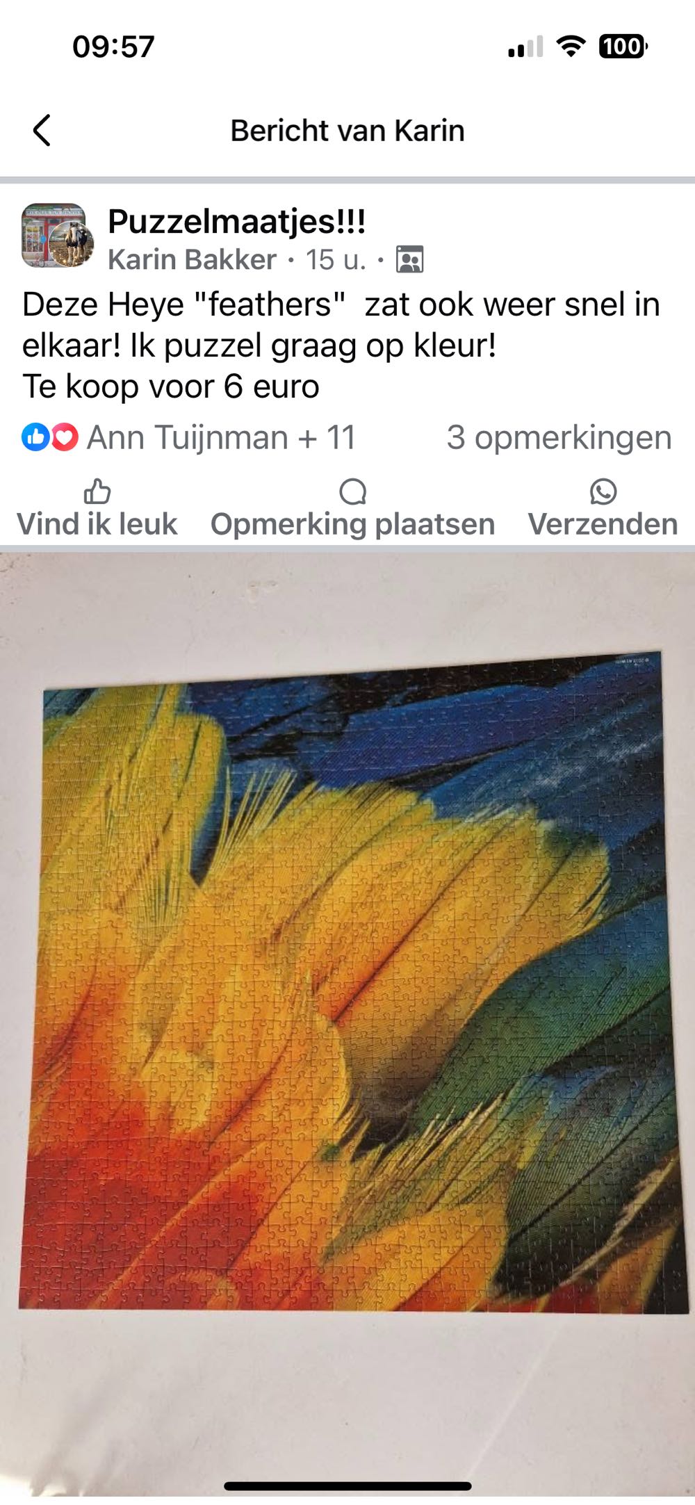 Feathers - Heye Puzzle puzzle collectible [Barcode 4001689294229] - Main Image 4