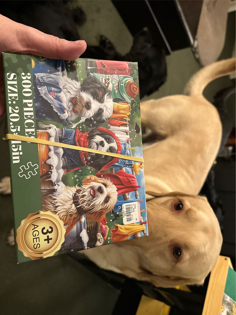 Tv Series- Rugrats: The Complete Series