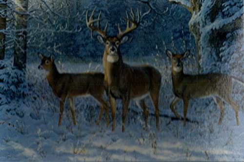 Laser Maze Beam Bending 