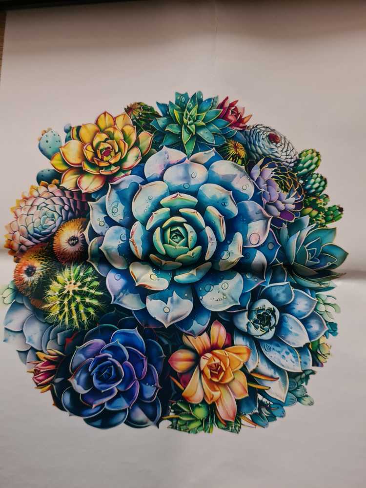 Rocky Mountain Reflections