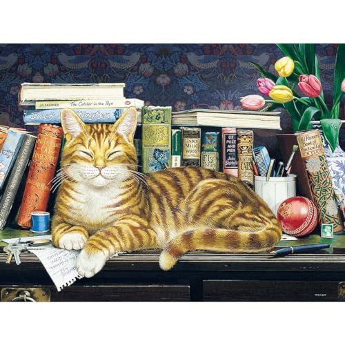 Gondolas On The Canal