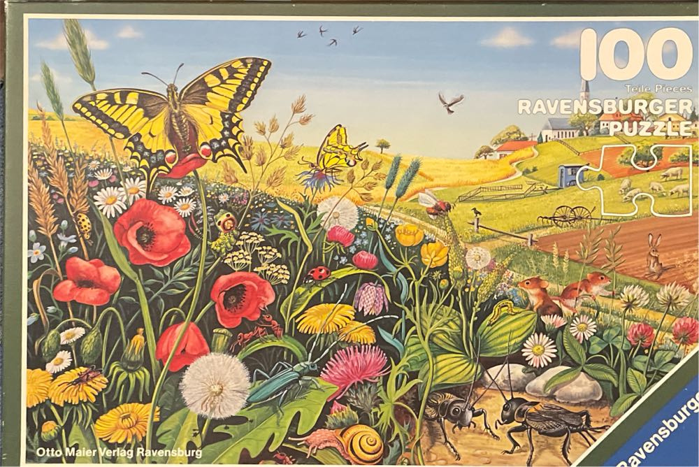 Daisy’s Candy Store