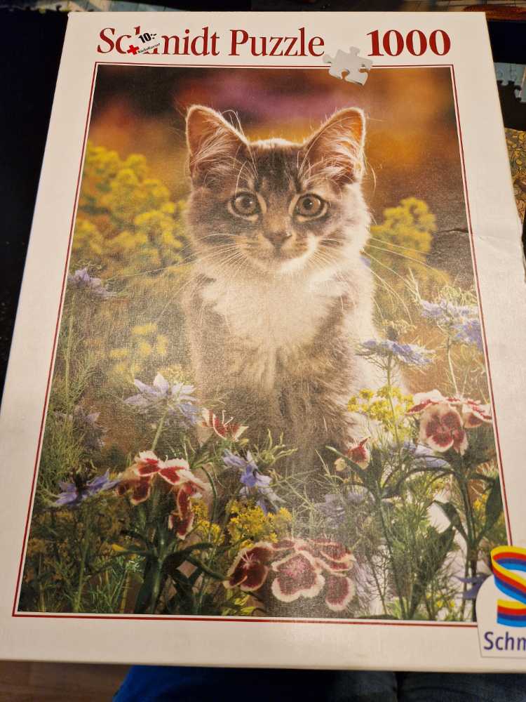 Enchanting Princesses Jigsaw Puzzle 42 Pieces 