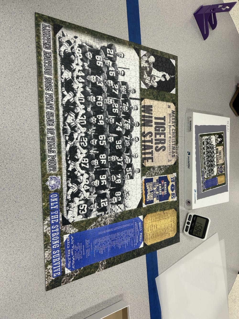 Wintry Neuschwanstein Castle Germany