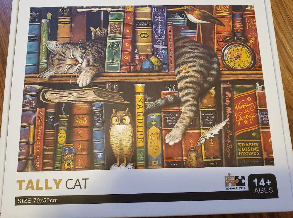 Changing Of The Guard