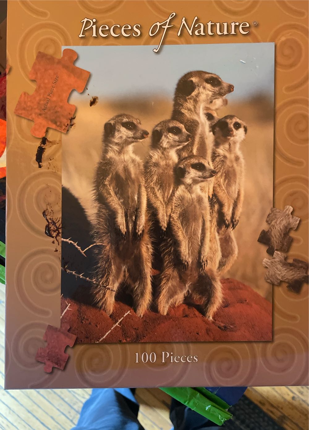 Elk At The Waterfall