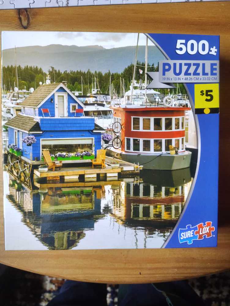 British ShortHair Cat-American Shorthair  Curious Kittens🟦