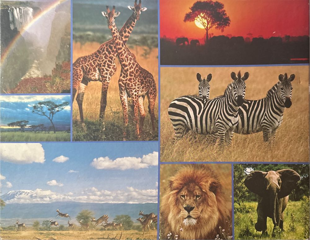 Gardener’s Getaway ✅🚪