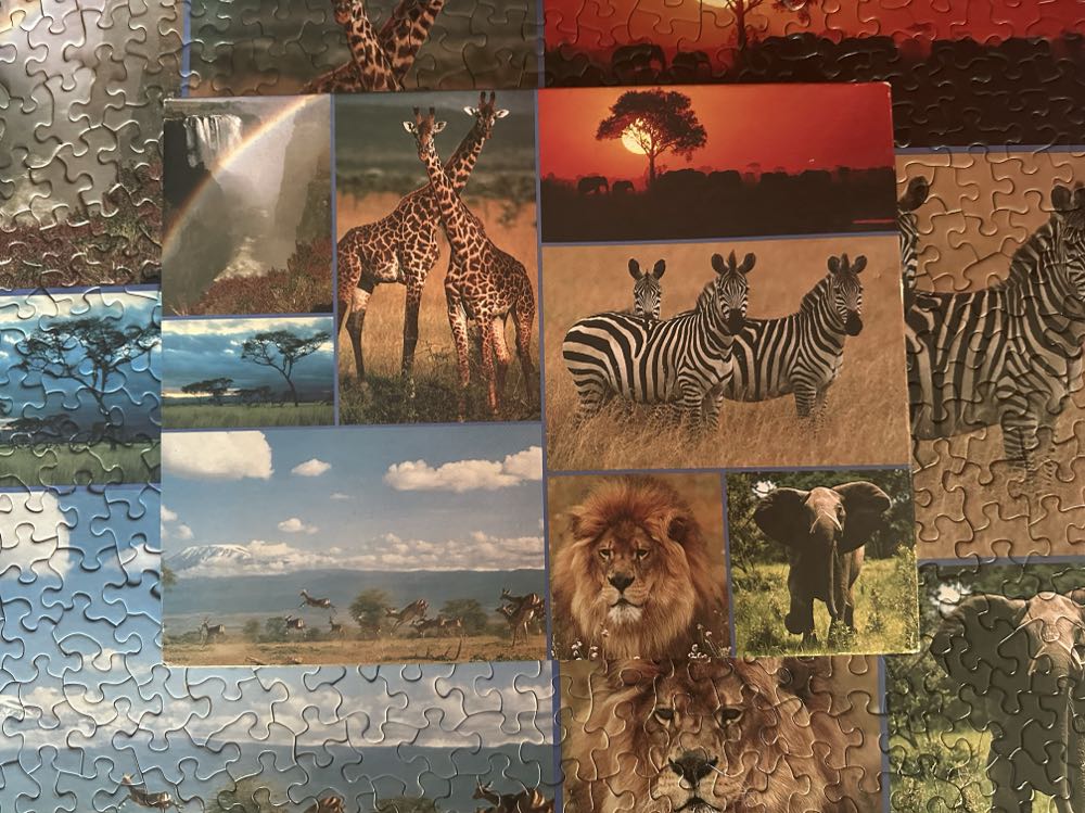 African Anthology - Springbok puzzle collectible [Barcode 070000017438] - Main Image 3