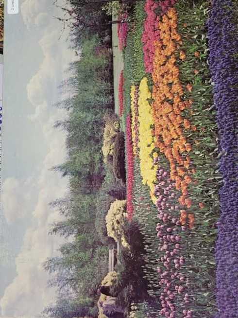 Keukenhof Gardens, Holland - Tuco puzzle collectible - Main Image 3