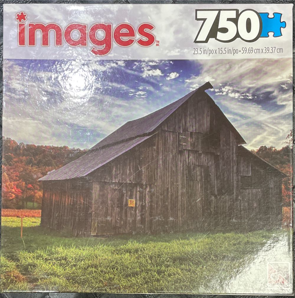 Dragon Mermaid And Turtles🟦