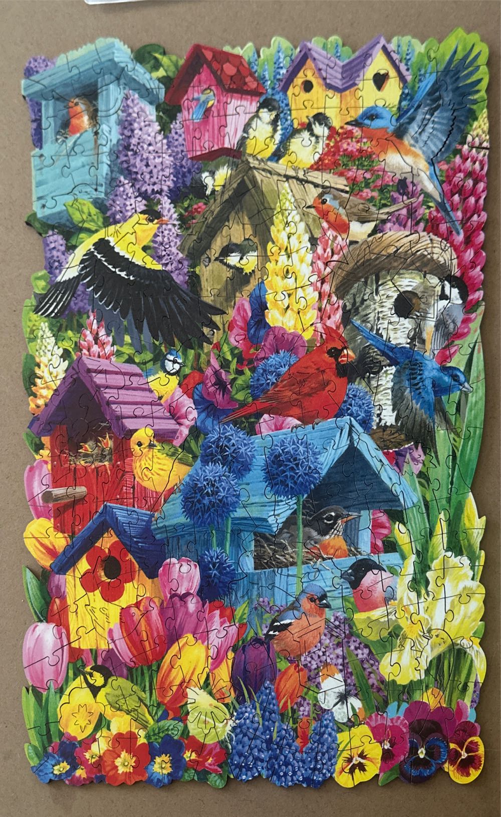 Childhood Memories 🔒