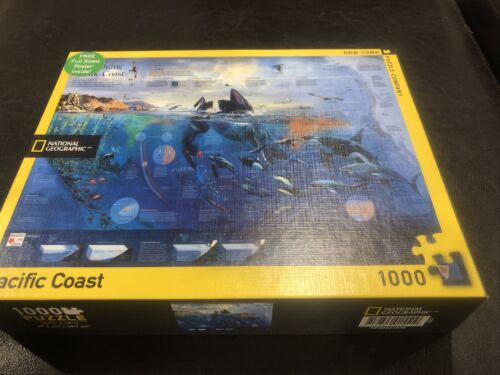 Sunny Day Sesame Street